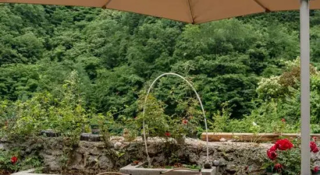 Floral Hotel·Shennongjia Wild Tea Homestay, Забронировать Отель Отели Шэньнунцзя 3 звезды, 3*