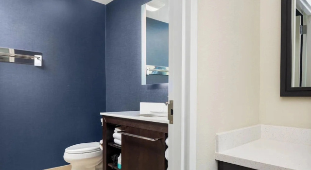 Двухместный люкс Residence Inn by Marriott Decatur Emory Area