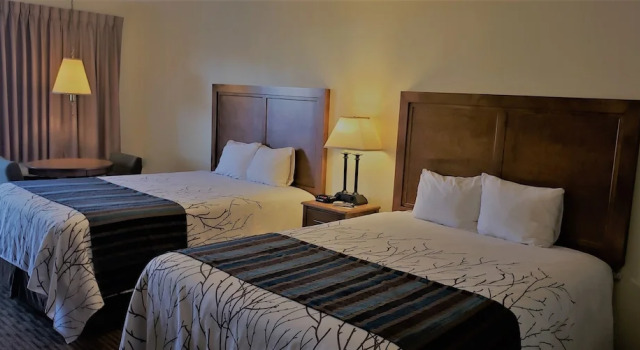 Номер Standard Stagecoach Inn & Suites