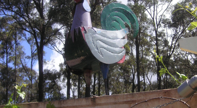 Rosedale Bed and Breakfast, Book Hotel Lovedale Hunter Valley