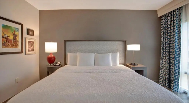 Двухместный люкс c 1 комнатой Hampton Inn & Suites on the San Antonio Riverwalk