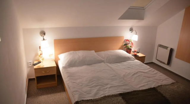 Camera Comfort Wellness Vila Bohemia