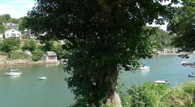 Cottage Junket Studio