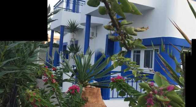 Апартаменты c 1 комнатой с балконом и с видом на сад Psaras Apartments