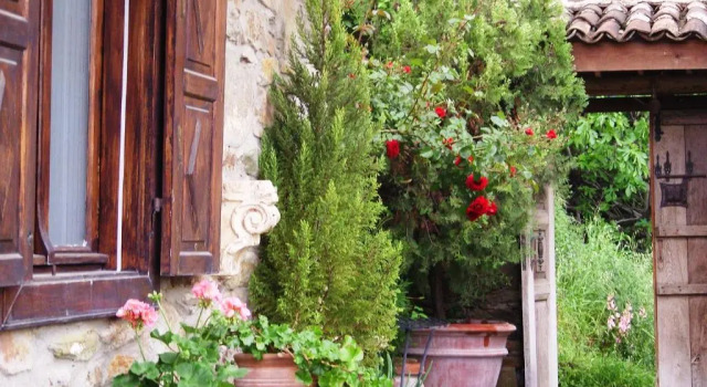 Коттедж с 2 комнатами с видом на окрестности Terrace Houses Sirince - Fig, Olive and Grapevine