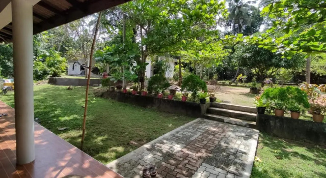 Номер Economy Deer Garden Guest