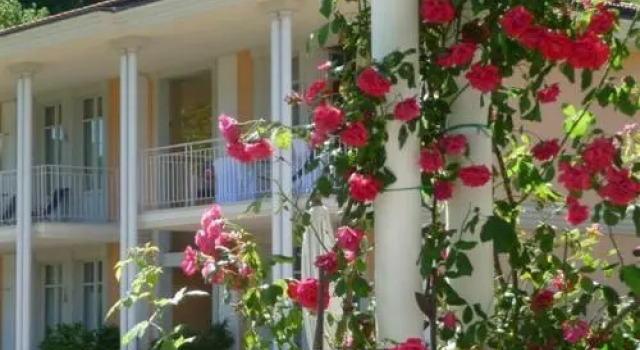 Residence Ville Lago Lugano