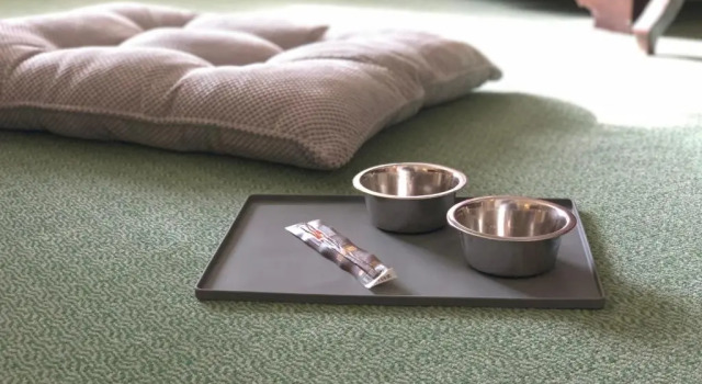 Двухместный номер Deluxe Bristol Hotel, Boutique Collection
