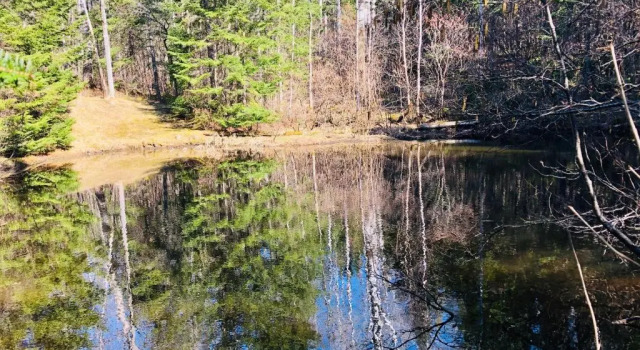 Люкс Gîte de la Montagne Enchantée