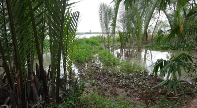Hong thai River side homestay, Rezervovat Hotel Chau Thanh 