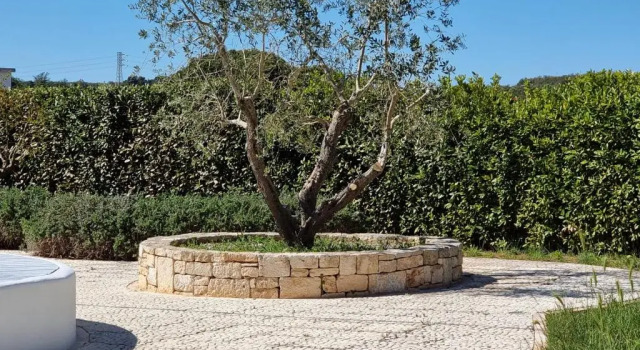 I trulli di nonno Ernesto Trulli piscina e relax