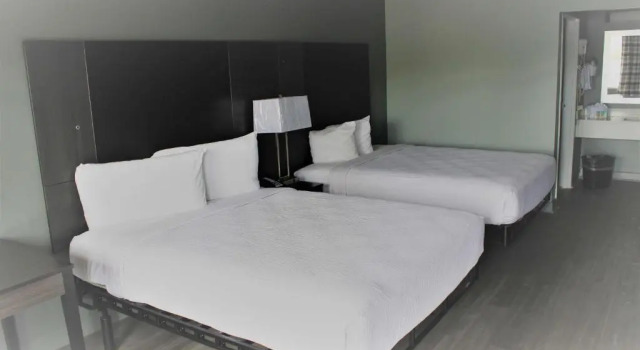Четырёхместный номер Standard SureStay Hotel by BW Conway