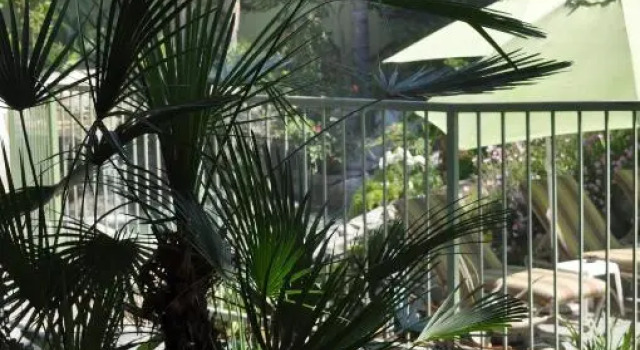 Люкс Deluxe Vista Grande Resort - A Gay Mens Resort