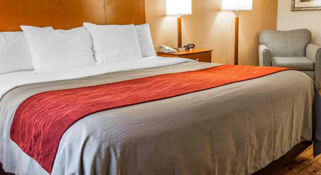 Номер Standard Comfort Inn & Suites Franklin East