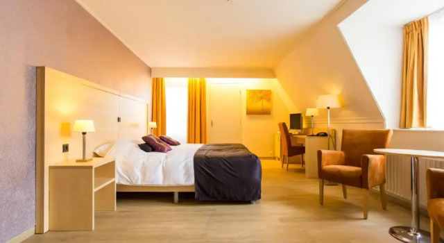 Двухместный номер Standard Brinkhotel