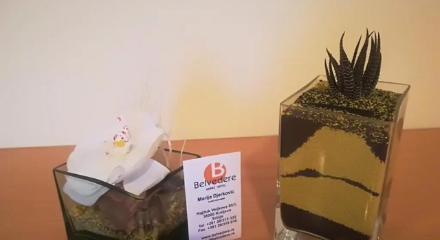 Двухместный номер Standard с балконом Garni Hotel Belvedere