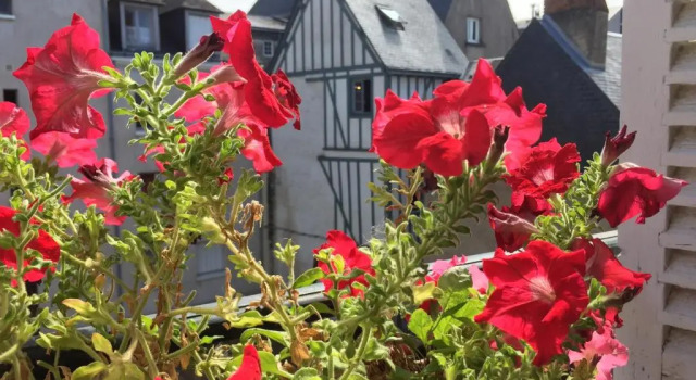 Апартаменты Gîte De La Tour De Guise 2