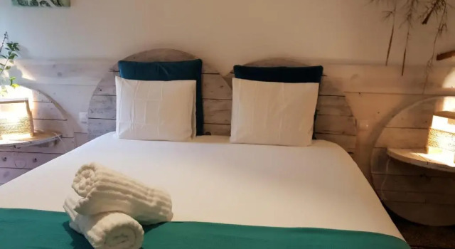 Люкс Cactus Host