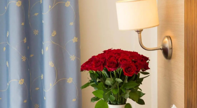 Двухместный номер Standard Hotel Elenas