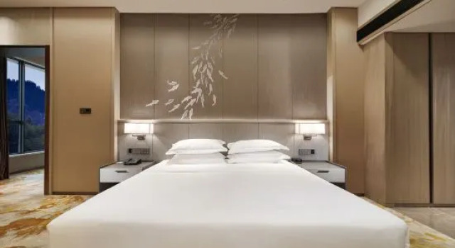 Люкс Deluxe Jinyun Jingjiang International Hotel
