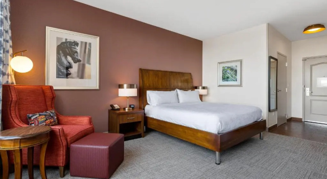 Двухместный номер Hilton Garden Inn New Orleans French Quarter/CBD