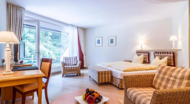 Номер Deluxe Waldhotel Bad Sulzburg