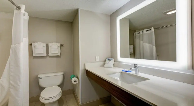 Номер Standard Holiday Inn Express & Suites Ashtabula-Geneva by IHG