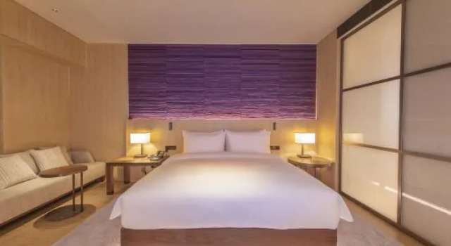 Люкс Girdear Hotel