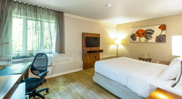 Двухместный номер Standard Comfort Inn Mont Laurier