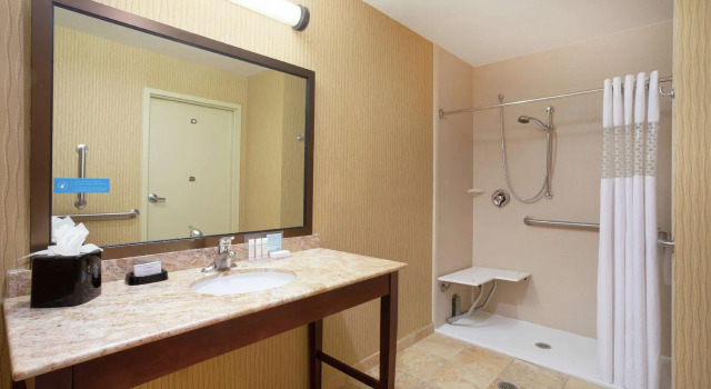 Двухместный номер Standard Hampton Inn and Suites Denver/South-RidgeGate