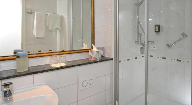 Двухместный номер Standard Hotel Aurbacher Hof GmbH