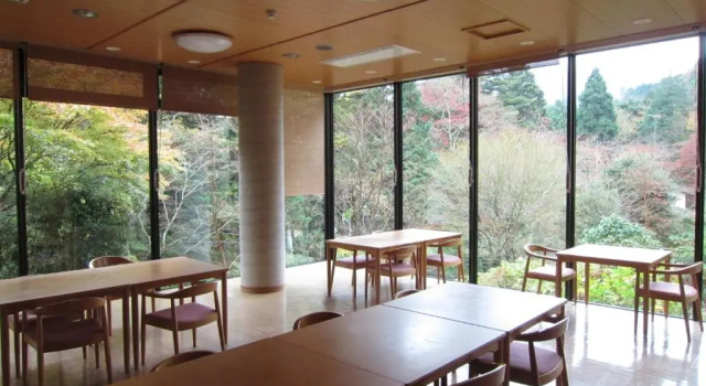 Номер Standard Hakone Kowakien Miyamafurin