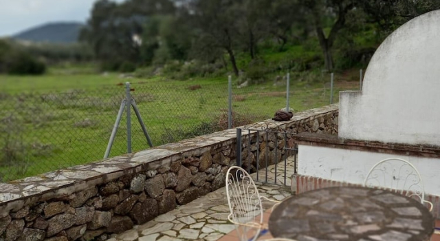 Студия Apartamentos Los Álamos de El Pedroso