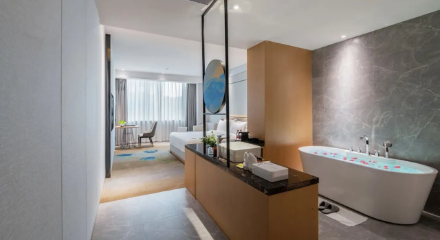 Номер Luxury Apex Hotel