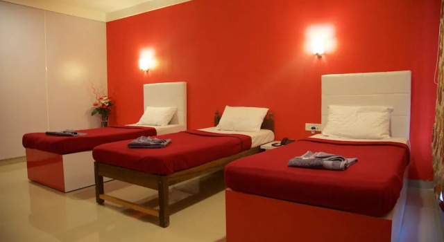 Коттедж Deluxe с балконом и с видом на сад Palolem Beach Resort