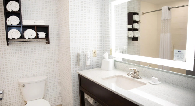 Двухместный номер Standard Hampton Inn & Suites Williamsport - Faxon Exit