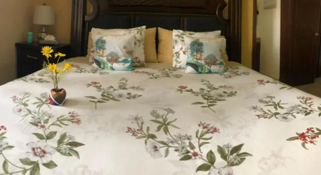 Двухместный номер Deluxe Hotel Boutique Villas Segovia Cozumel