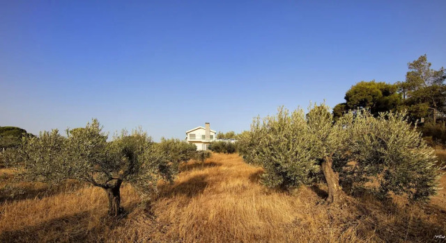 Tramonto Di Olive Gorgeous Villa by VillaRentalsgr, Reserva ahora Villa Loutraki Corintia