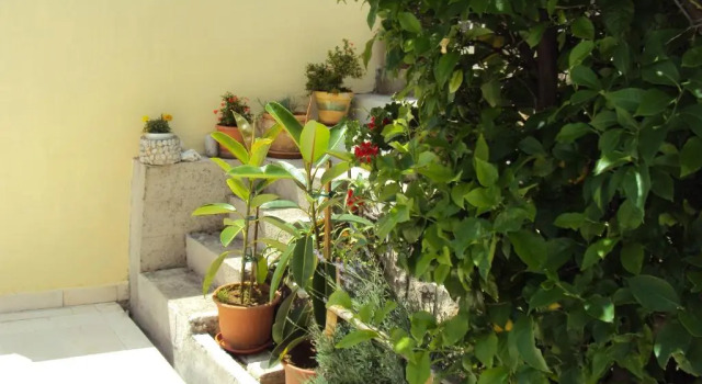 Апартаменты c 1 комнатой Apartment Lemon