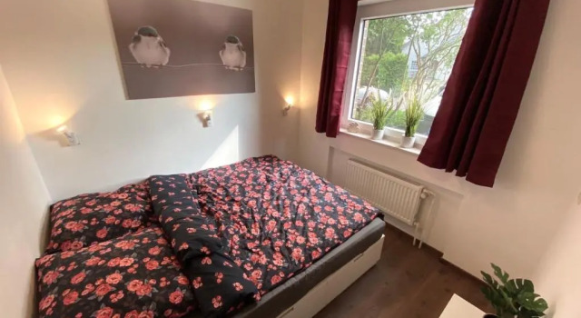 Haus Curia am Alfsee in Rieste für bis zu 10 Personen, Réserver Hôtel Rieste Oldenburger Muensterland
