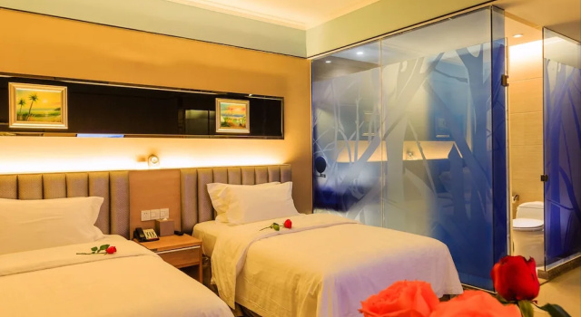 Двухместный номер Deluxe Vilu Reef International Hotel
