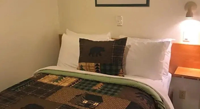 Люкс Mountain Springs Motel