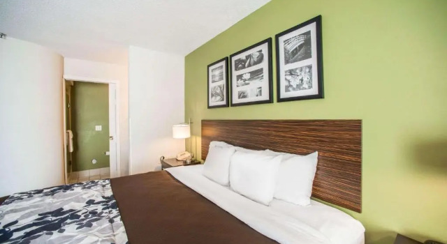 Standardowy pokój Sleep Inn Decatur I-72