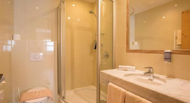Апартаменты c 1 комнатой Apartment Alpenland