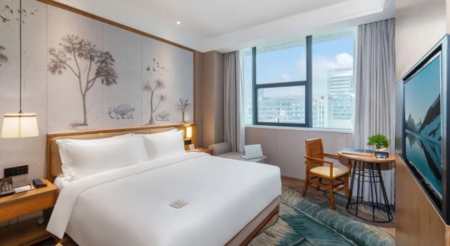 Номер Business Apex Hotel
