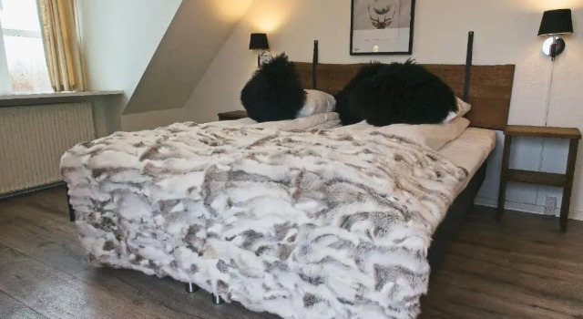 Standard Double room Hotel Aarslev Kro
