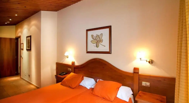 Двухместный номер Standard Hotel Montané