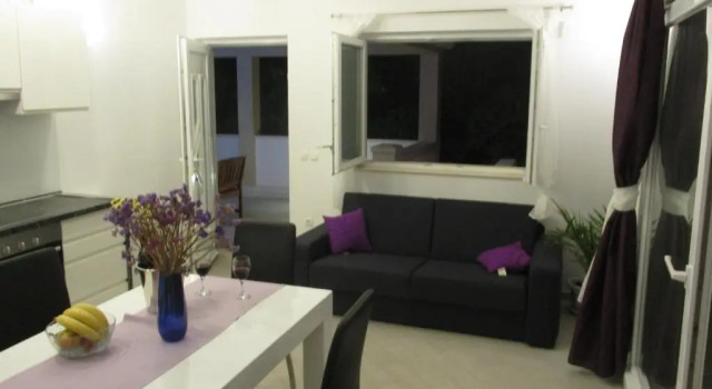 Apartments Carol