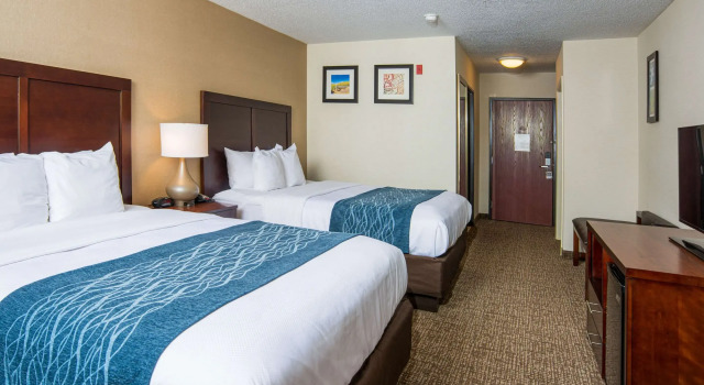 Четырёхместный номер Standard Comfort Inn Naugatuck-Shelton, CT