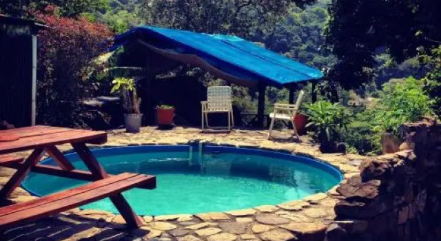 Jungle Monkey Backpackers